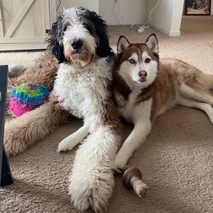 Meet your Posher, Jessica